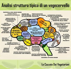 Cervello_vegano